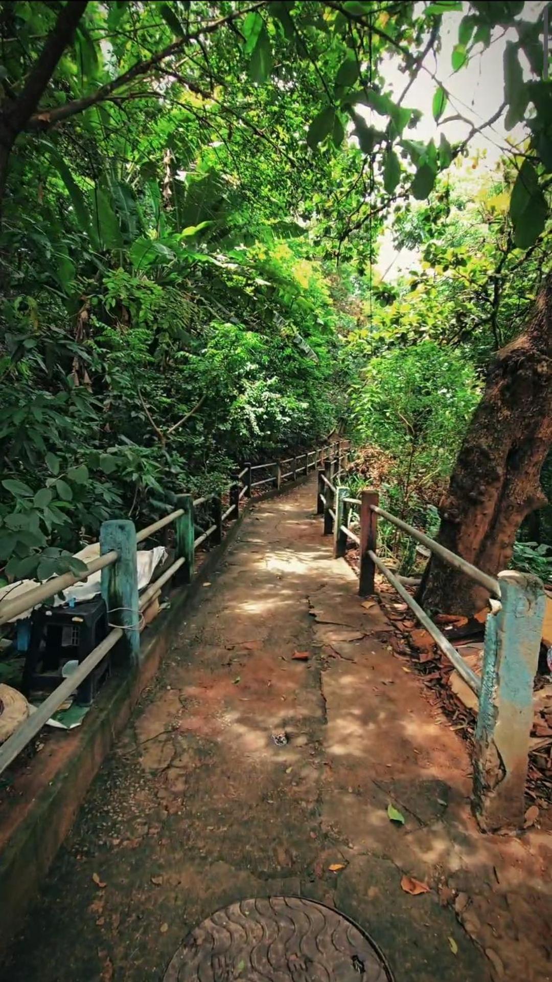 Hostel Chico Lessa วิตอเรีย ภายนอก รูปภาพ